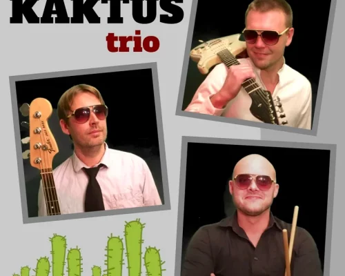 Kaktus-trio-billede-kvardratisk